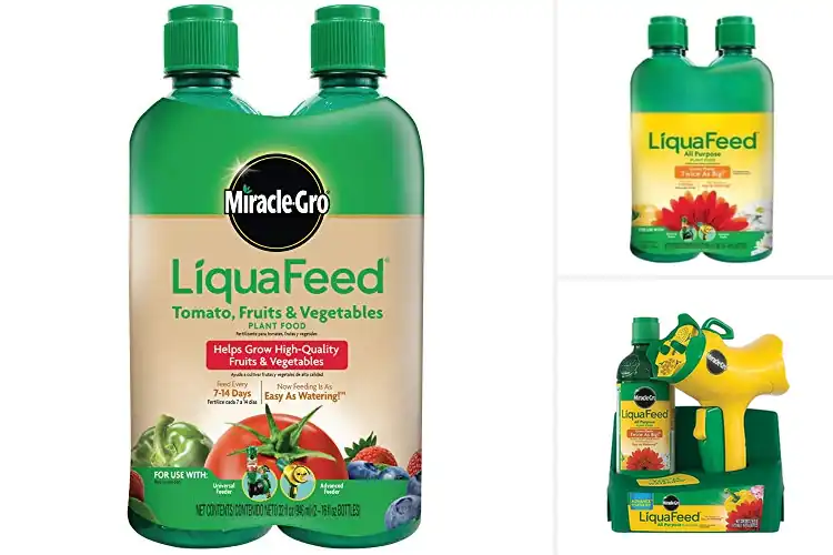 Detailed view of Best 16oz Plant Food Bottles for Strong, Healthy Growth