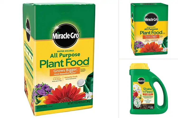 Detailed view of Best All Purpose Fertilizers: Boost Growth & Thrive