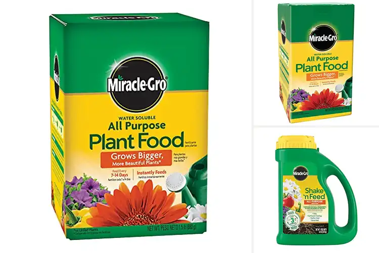 Detailed view of Best All Purpose Plant Foods