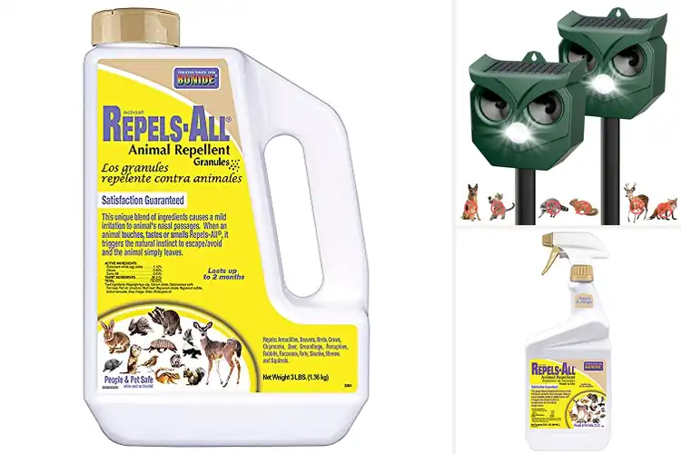Detailed view of Best Animal Deterrents