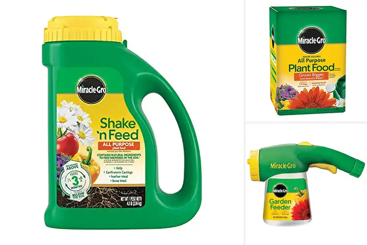 Detailed view of Best Container Fertilizers for Thriving Plants