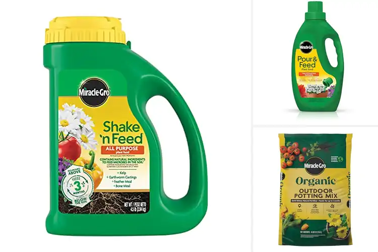 Detailed view of Best Container Plant Fertilizers