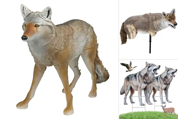 Detailed view of Best Coyote Decoys