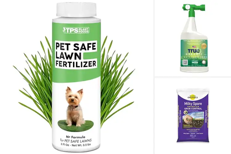 Detailed view of Best Eco-Friendly Lawn Care Products