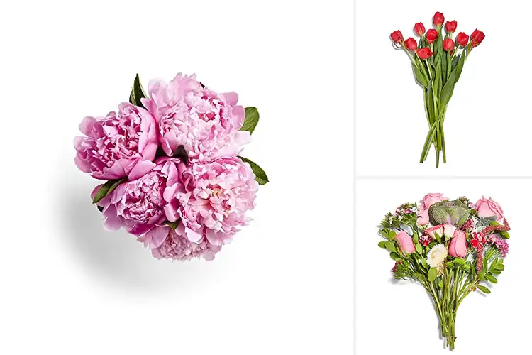 Detailed view of Best Fresh Flowers