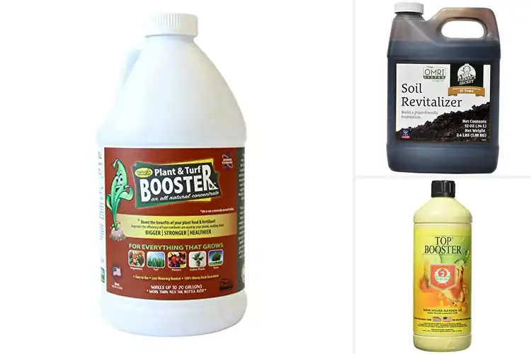 Detailed view of Best Garden Boosters for Strong, Healthy Plant Growth