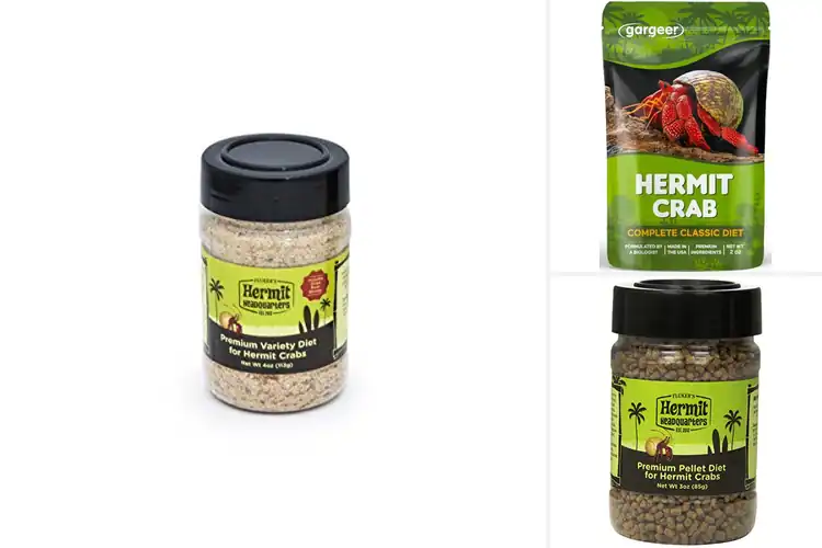 Detailed view of Best Hermit Crab Diets