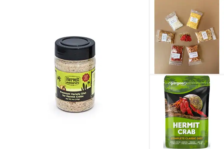 Detailed view of Best Hermit Crab Foods