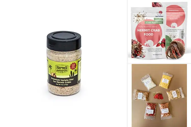 Detailed view of Best Hermit Crab Meals: Fresh, Balanced Foods They’ll Love