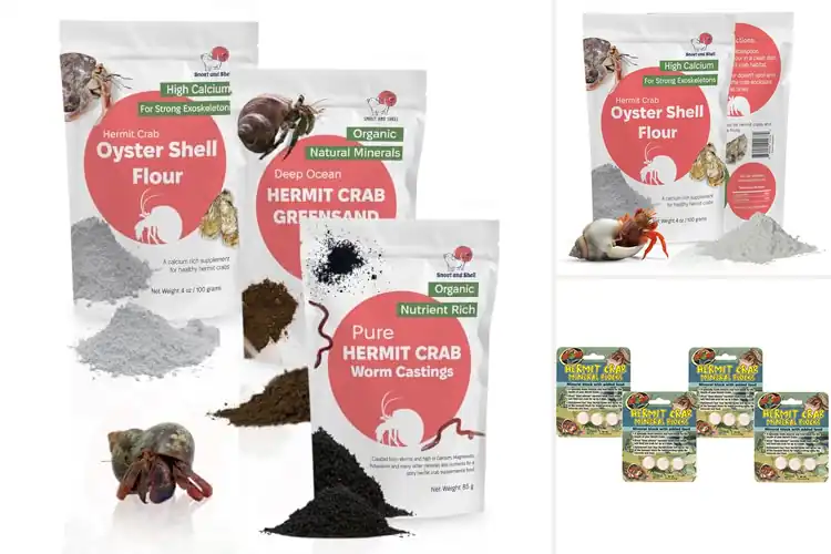 Detailed view of Best Hermit Crab Supplements