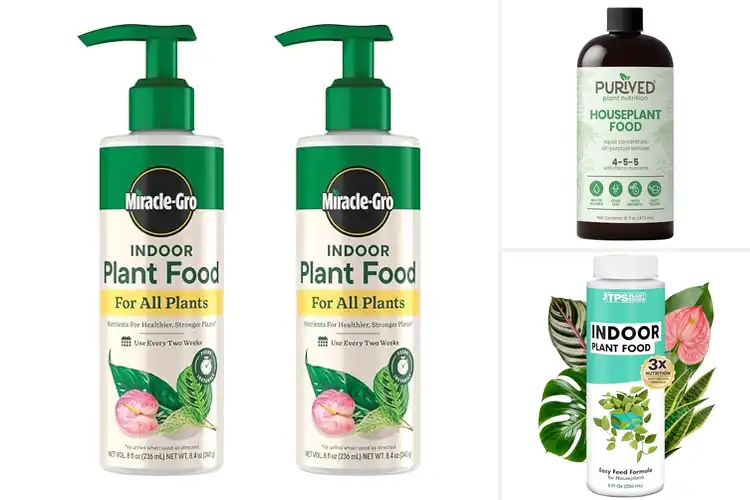 Detailed view of Best Houseplant Fertilizers: 10 Picks for Thriving Greens