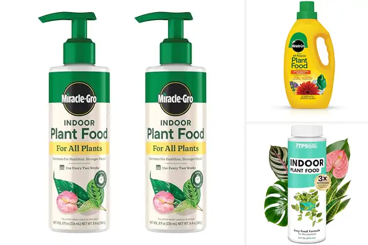 Detailed view of Best Houseplant Liquid Feeds
