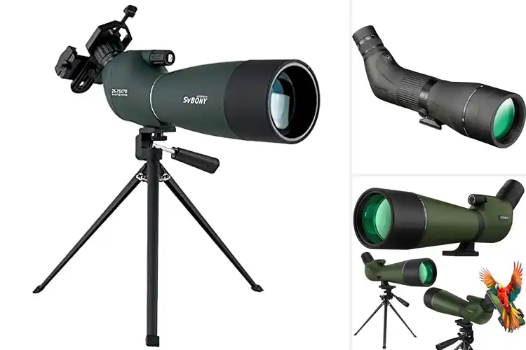 Detailed view of Best Hunting Spotting Scopes