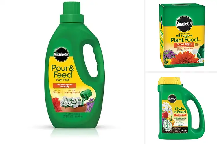 Detailed view of Best Indoor & Outdoor Fertilizers for Healthy Plant Growth
