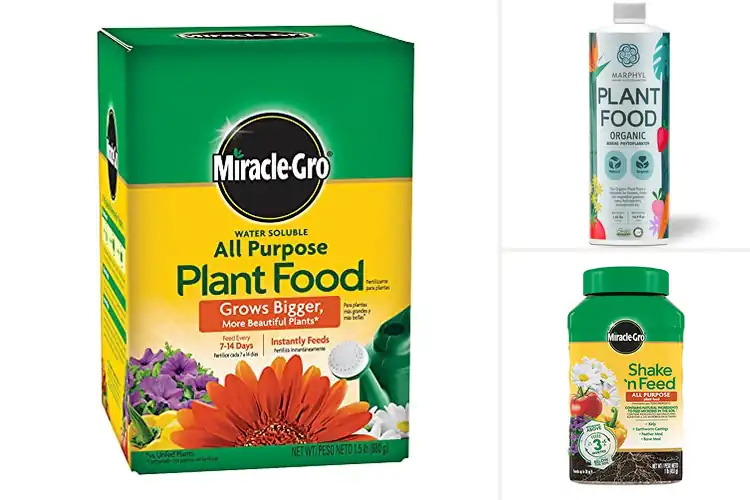 Detailed view of Best Indoor Outdoor Plant Nutrients