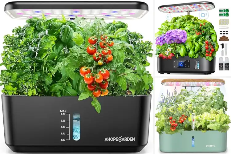 Detailed view of Best Indoor Plant Growers for Fresh Home Harvests