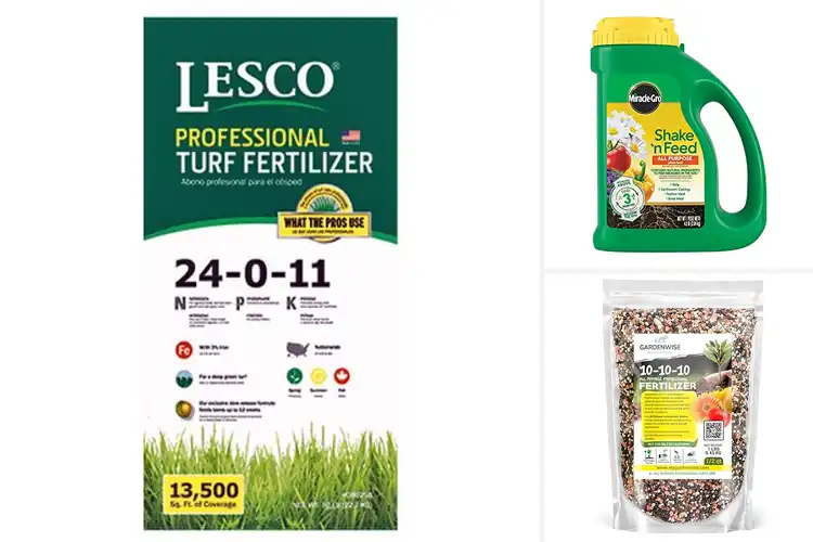 Detailed view of Best Landscape Fertilizers