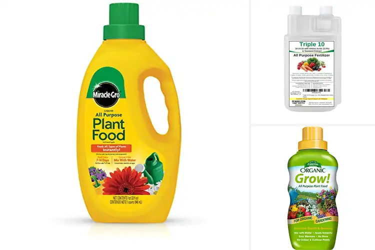 Detailed view of Best Liquid Concentrate Fertilizers