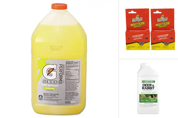 Detailed view of Best Liquid Concentrates