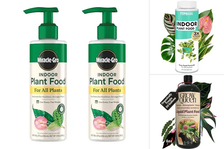 Detailed view of Best Liquid Fertilizers For Houseplants