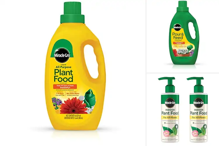 Detailed view of Best Liquid Fertilizers: Top Picks for a Thriving Garden