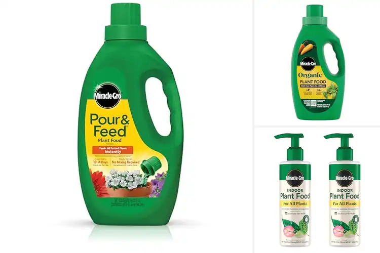 Detailed view of Best Liquid Plant Foods For Containers