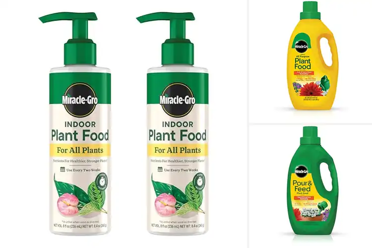 Detailed view of Best Liquid Plant Foods