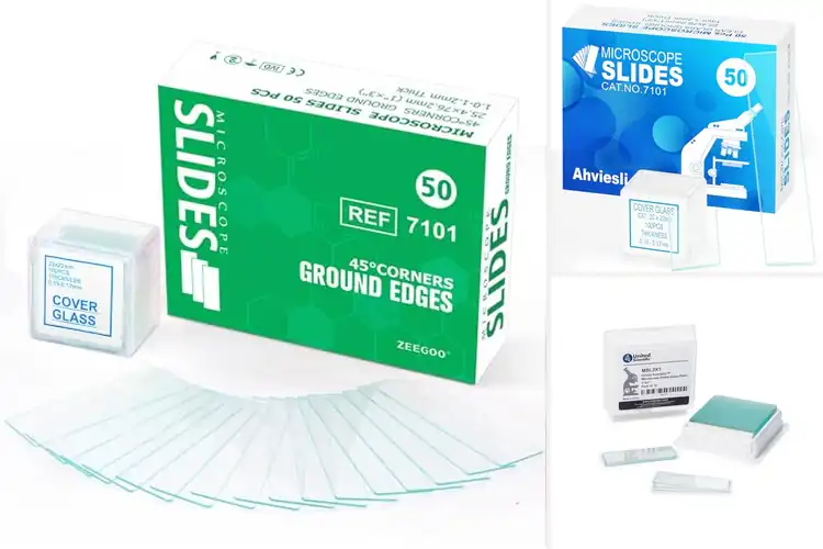 Detailed view of Best Microscope Slides: Unveil the Microscopic World