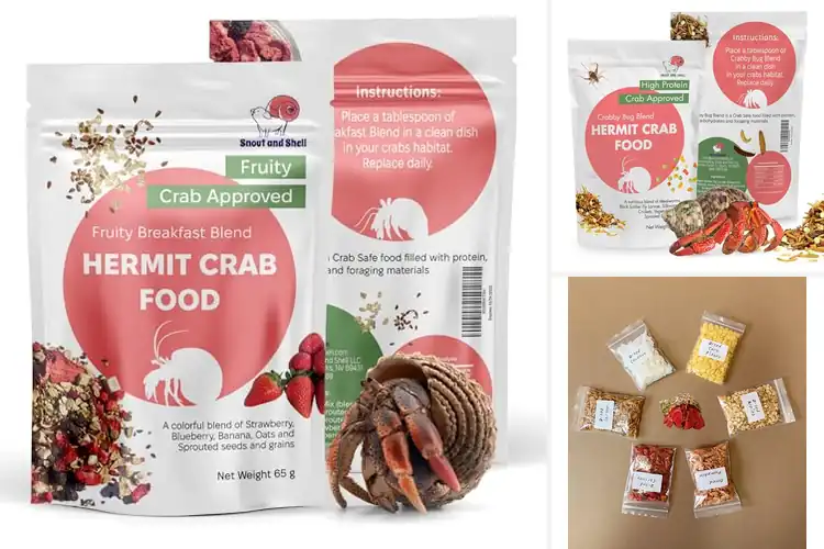 Detailed view of Best Natural Hermit Crab Foods for Strength and Activity