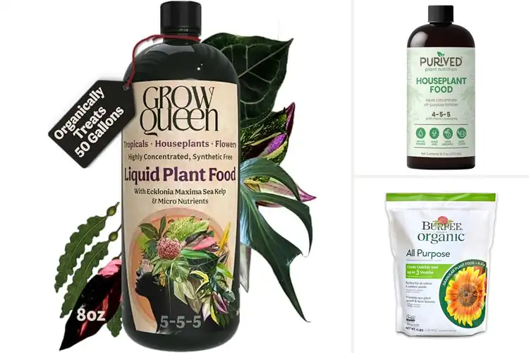 Detailed view of Best Natural Plant Foods