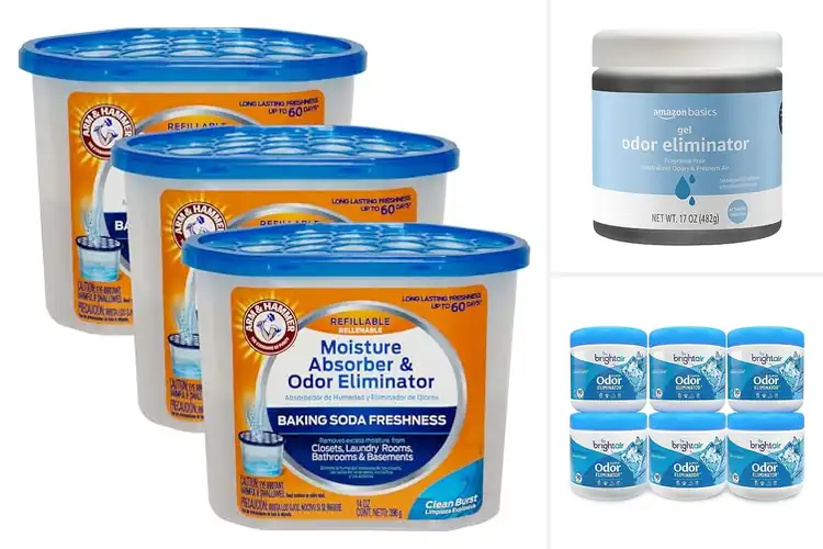 Detailed view of Best Odor Eliminators: Fresh Solutions for Every Space