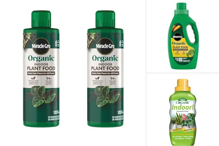 Detailed view of Best Organic Fertilizers For Indoor Plants