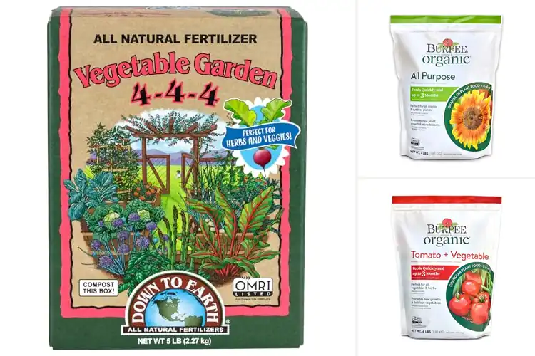 Detailed view of Best Organic Fertilizers