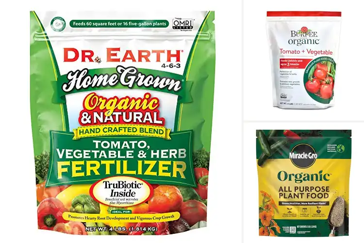 Detailed view of Best Organic Garden Fertilizers