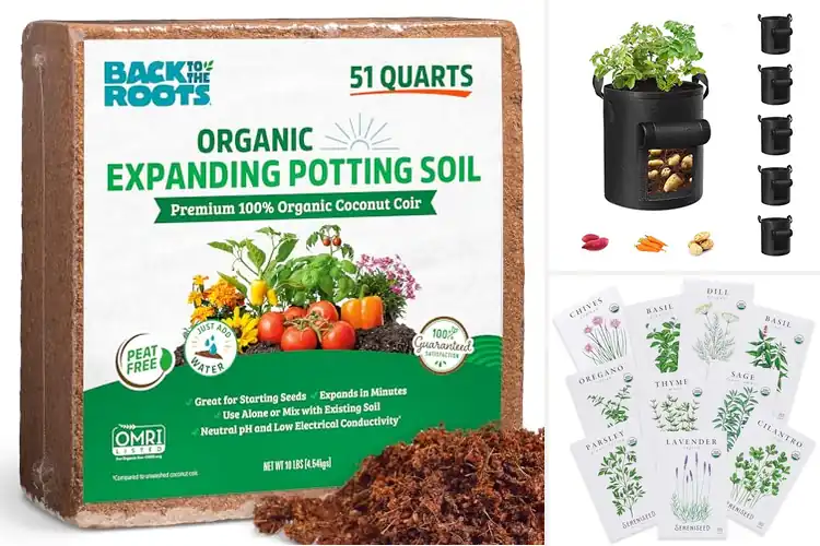 Detailed view of Best Organic Gardening Supplies for Natural Growth
