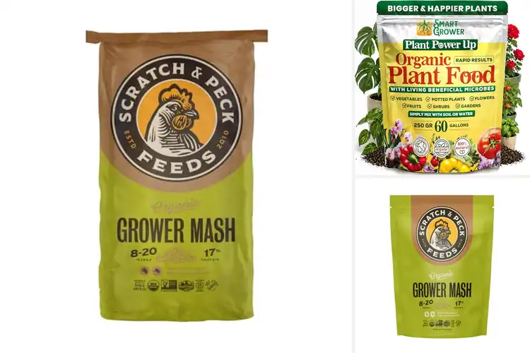 Detailed view of Best Organic Growers: Trusted Picks for Natural Success