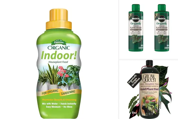 Detailed view of Best Organic Houseplant Fertilizers