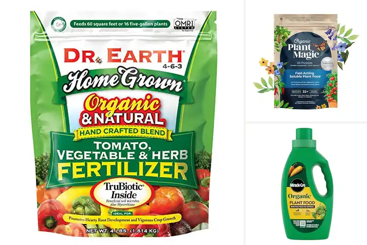 Detailed view of Best Organic Plant Fertilizers: Boost Growth Naturally