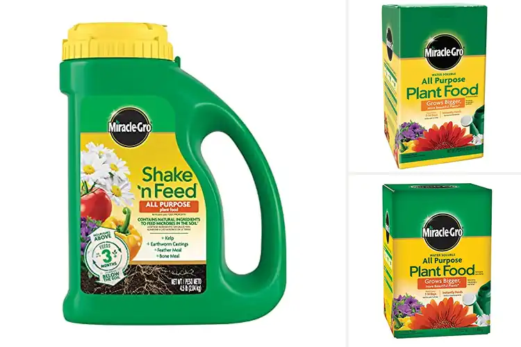 Detailed view of Best Outdoor Plant Fertilizers for Lush Growth