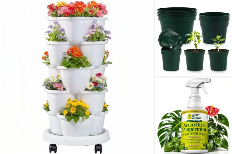 Detailed view of Best Outdoor Plant Growers