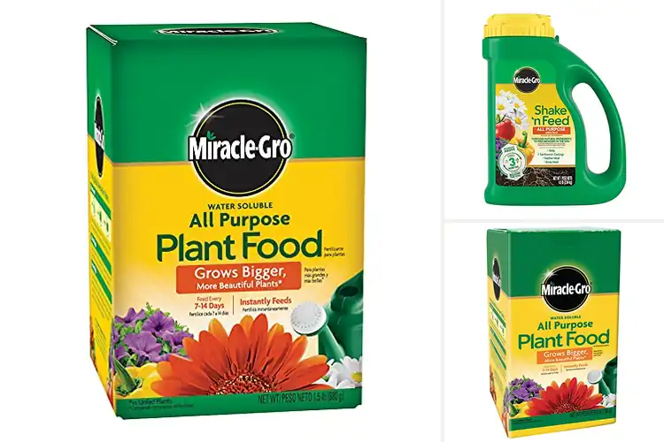 Detailed view of Best Outdoor Plant Nutrients for Strong Garden Growth