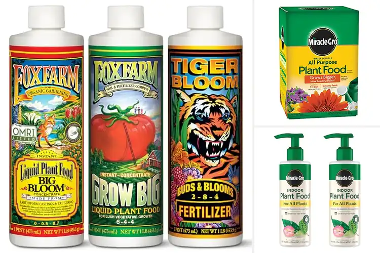 Detailed view of Best Plant Nutrients for Strong, Vibrant Growth