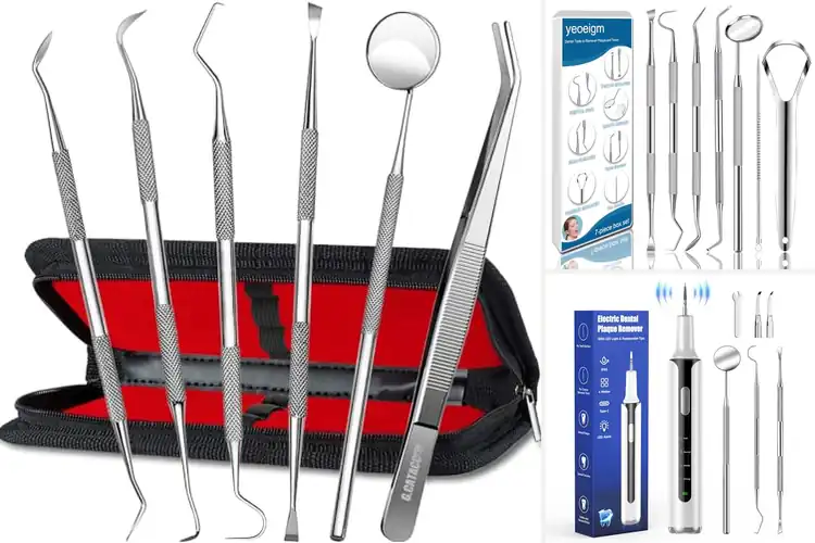Detailed view of Best Plaque Removal Tools