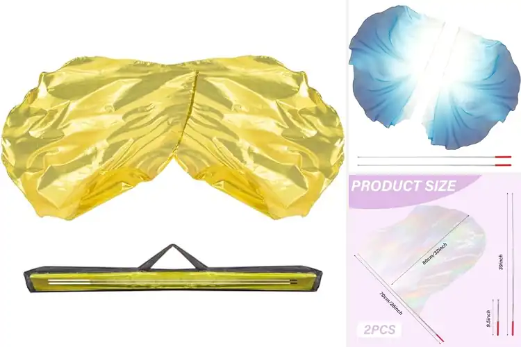 Detailed view of Best Portable Praise Flags
