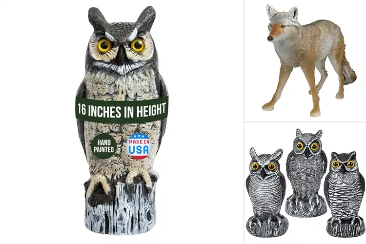 Detailed view of Best Predator Decoys: Top 10 Picks to Protect & Hunt Smarter