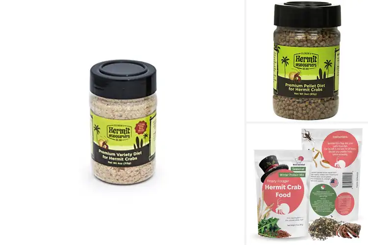Detailed view of Best Premium Hermit Crab Foods