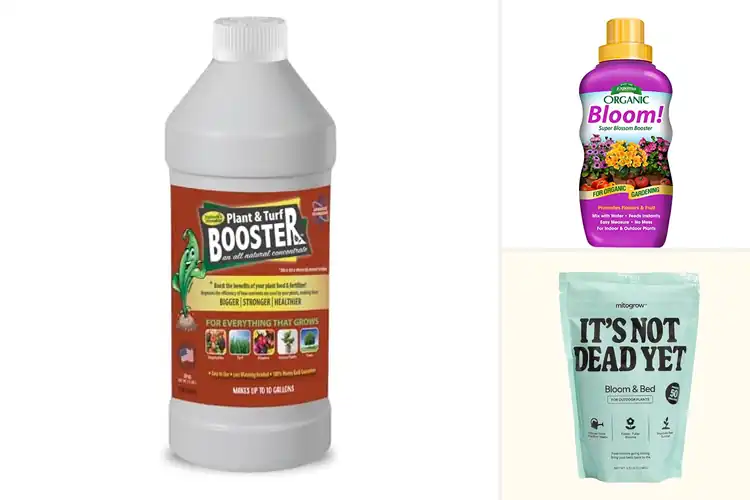 Detailed view of Best Seasonal Plant Boosters for Stronger Growth
