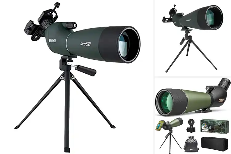 Detailed view of Best Shooting Scopes: Top Picks for Clarity & Durability
