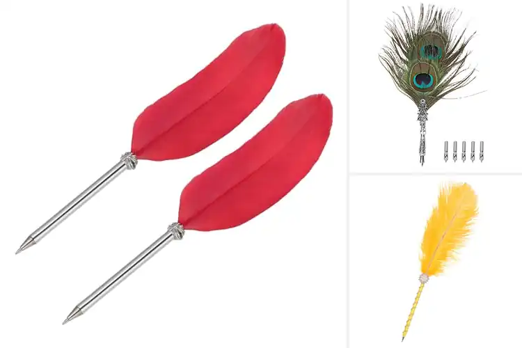 Detailed view of Best Size 8 Quill Pens