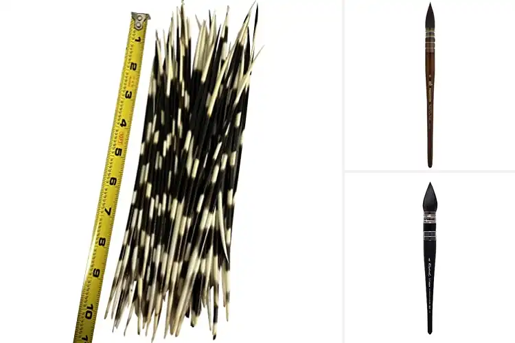 Detailed view of Best Size Eight Quills 10-Pack